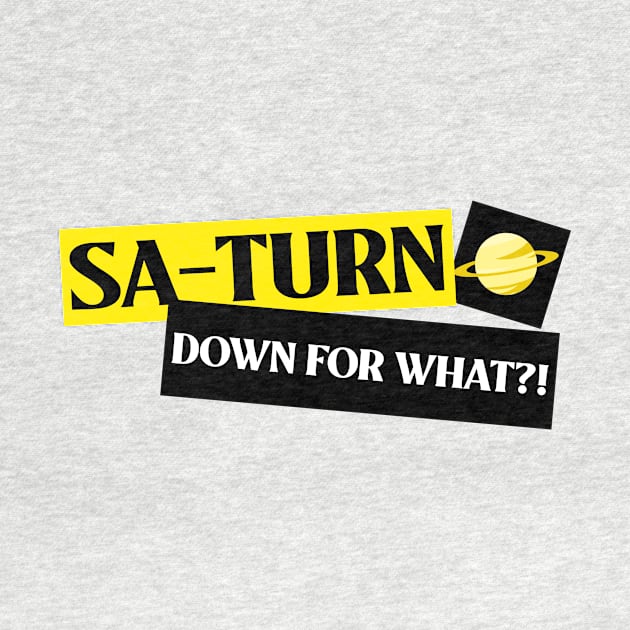 Partying - Sa-Turn Down for What?!! by Expanse Collective